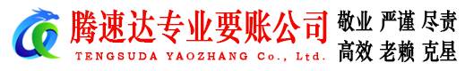 龙游讨账公司